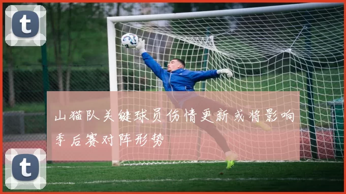 山猫队关键球员伤情更新或将影响季后赛对阵形势