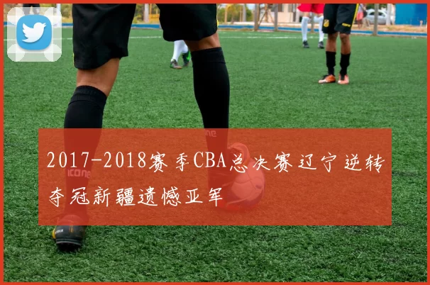 2017-2018赛季CBA总决赛辽宁逆转夺冠新疆遗憾亚军