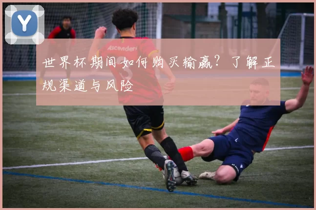 世界杯期间如何购买输赢？了解正规渠道与风险