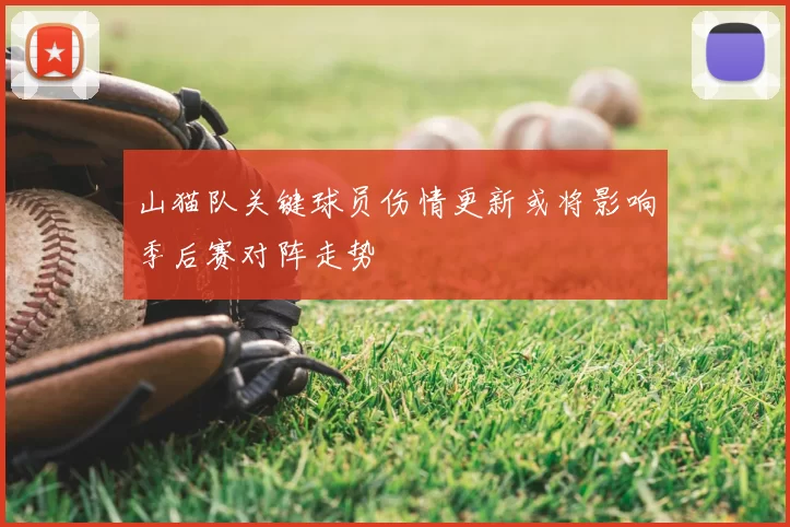 山猫队关键球员伤情更新或将影响季后赛对阵走势