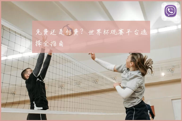 免费还是付费?世界杯观赛平台选择全指南