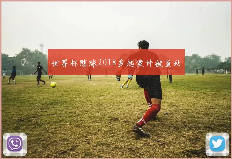 世界杯赌球2018多起案件被查处