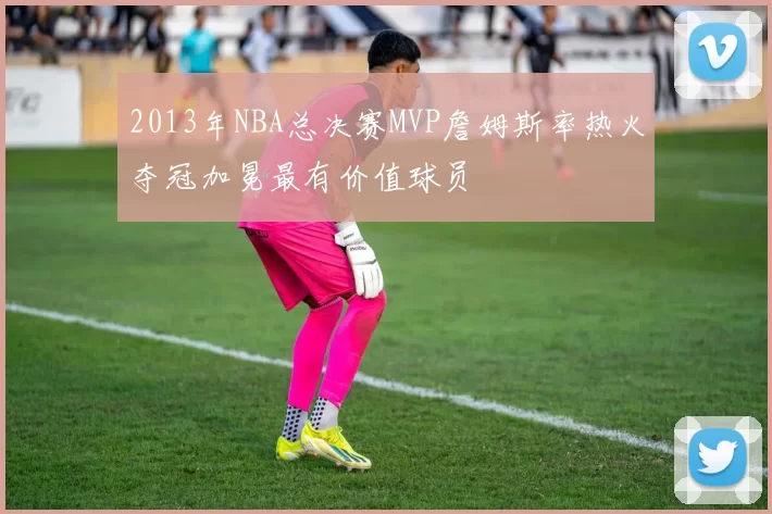 2013年NBA总决赛MVP詹姆斯率热火夺冠加冕最有价值球员